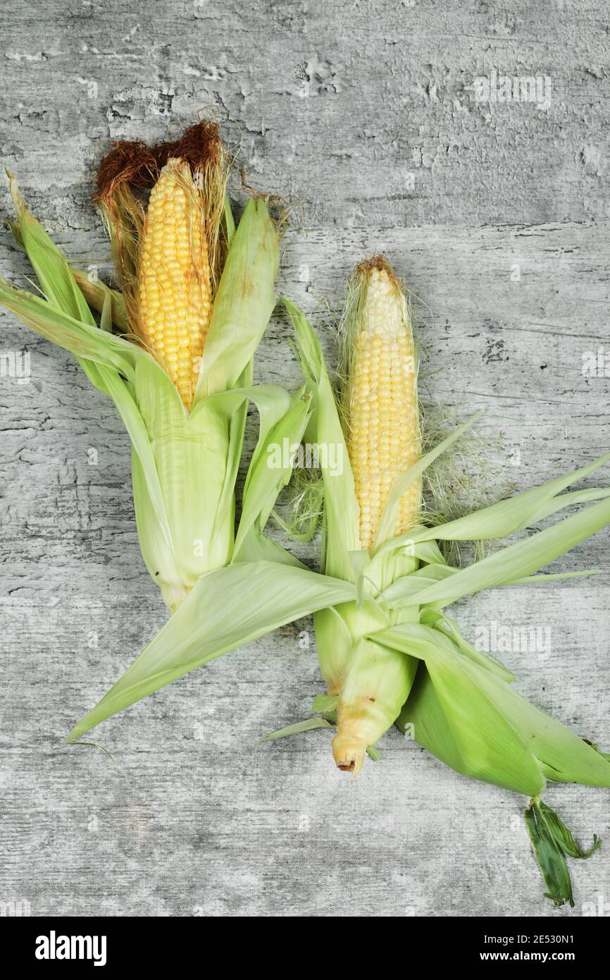 Fresh corns on stone background. Close up Stock Photo