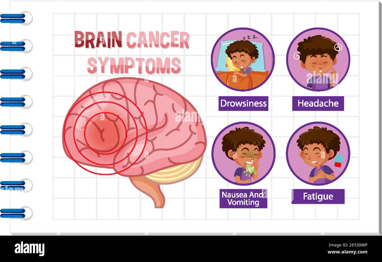 Information poster of human brain diagram illustration Stock Vector ...