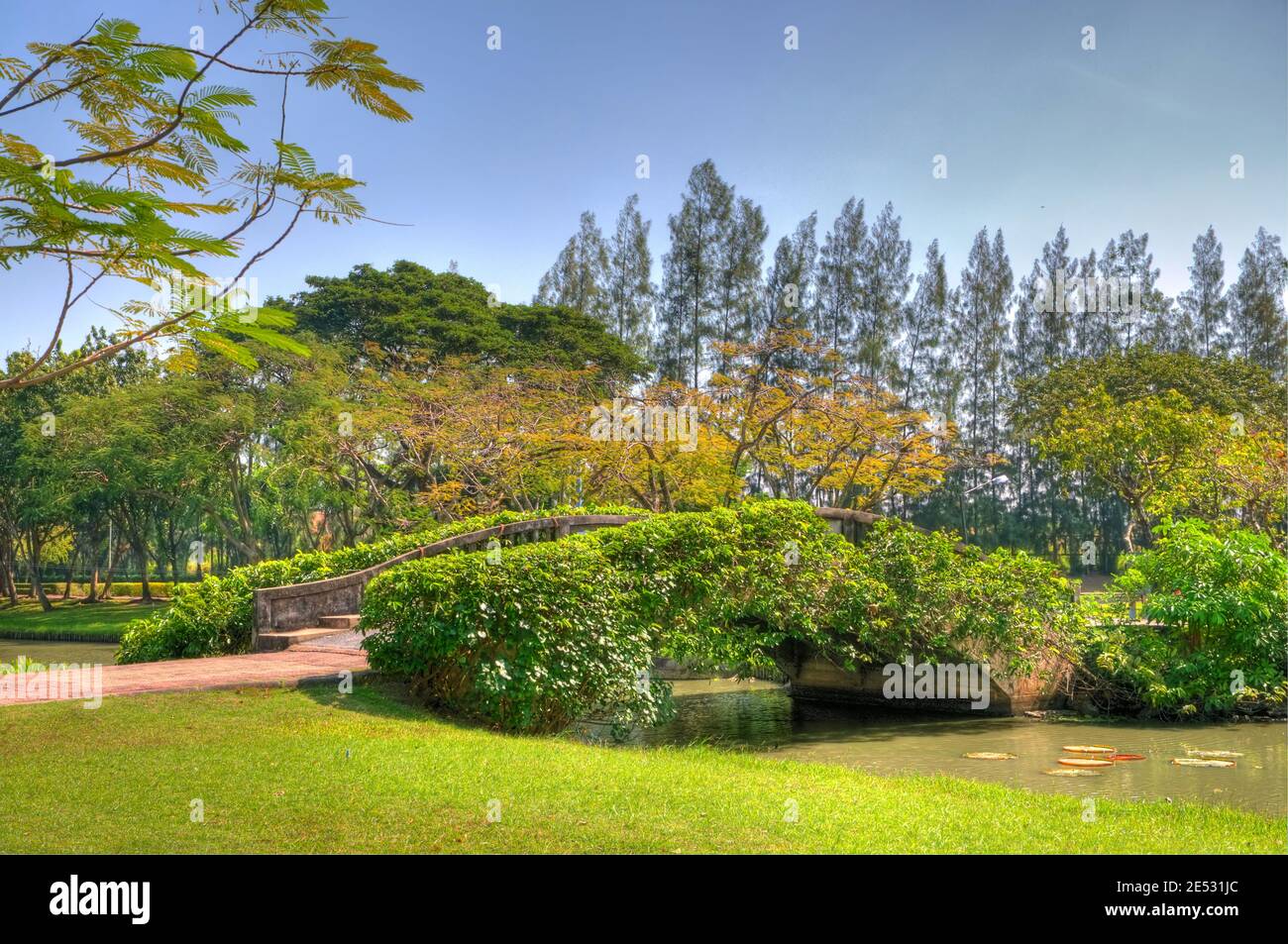 A Concrete Bridge in a Park Partially Covered with Leaves (in high dynamic range) Stock Photo