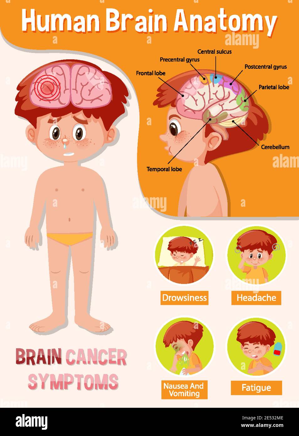 Information poster of human brain diagram illustration Stock Vector ...