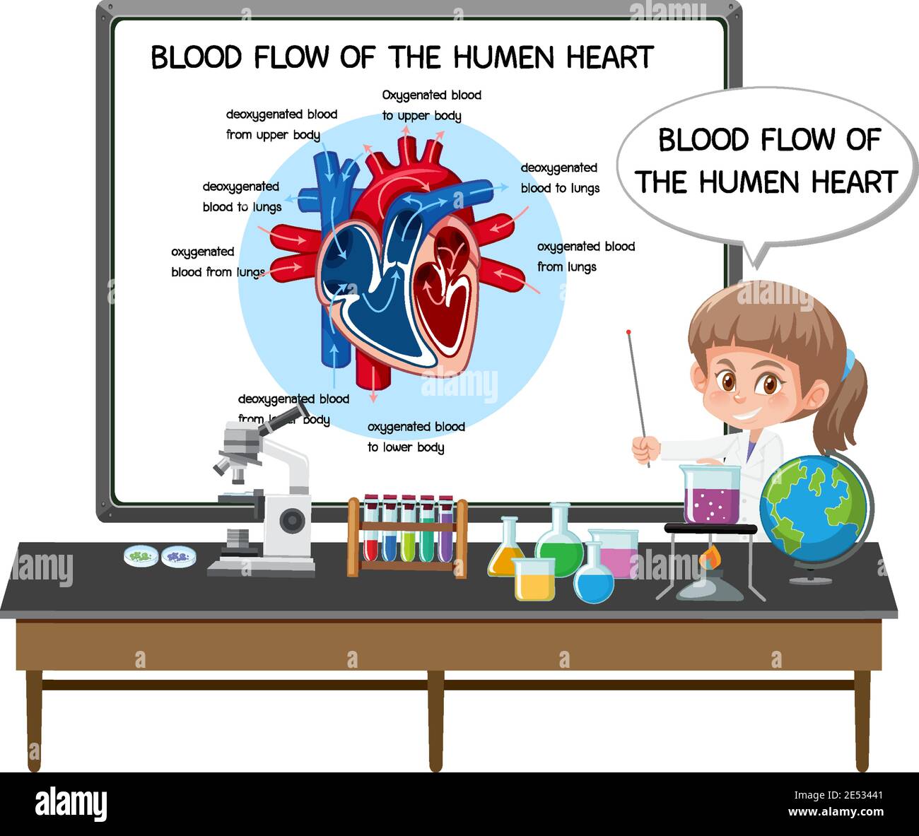 Young Doctor explaining blood flow of the human heart illustration ...