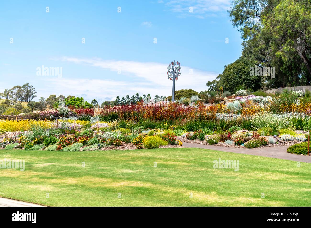 Australian native garden ground covers and shrubs in a terraced sandstone rock garden Stock Photo