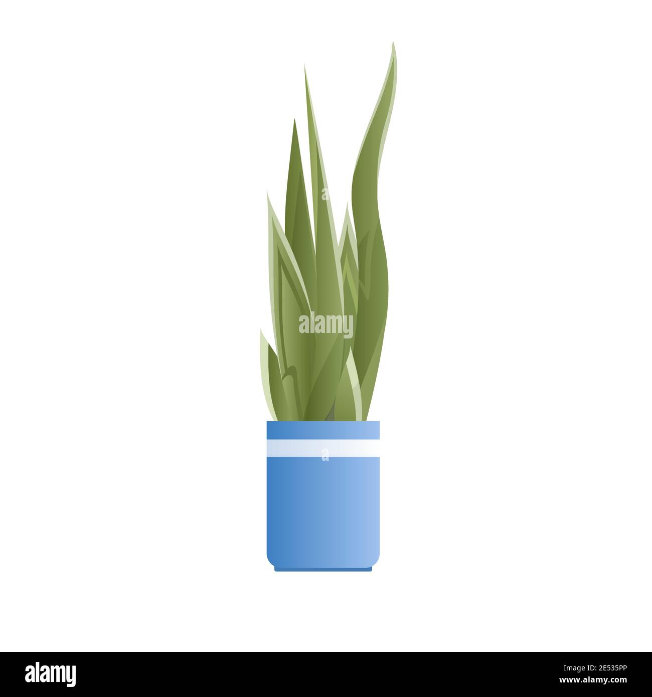 potted plant isolated on white background vector illustration Stock ...