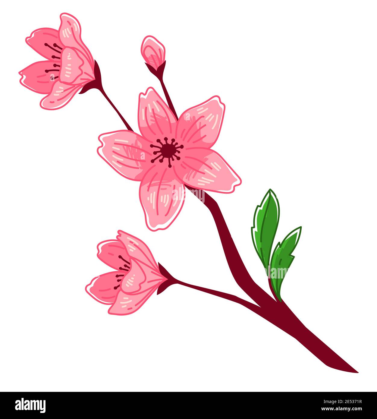 Sakura blooming, blossom of cherry tree branch Stock Vector Image & Art ...
