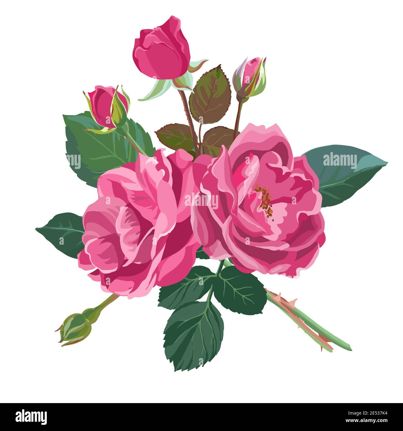 Summer or spring blooming roses or peonies vector Stock Vector