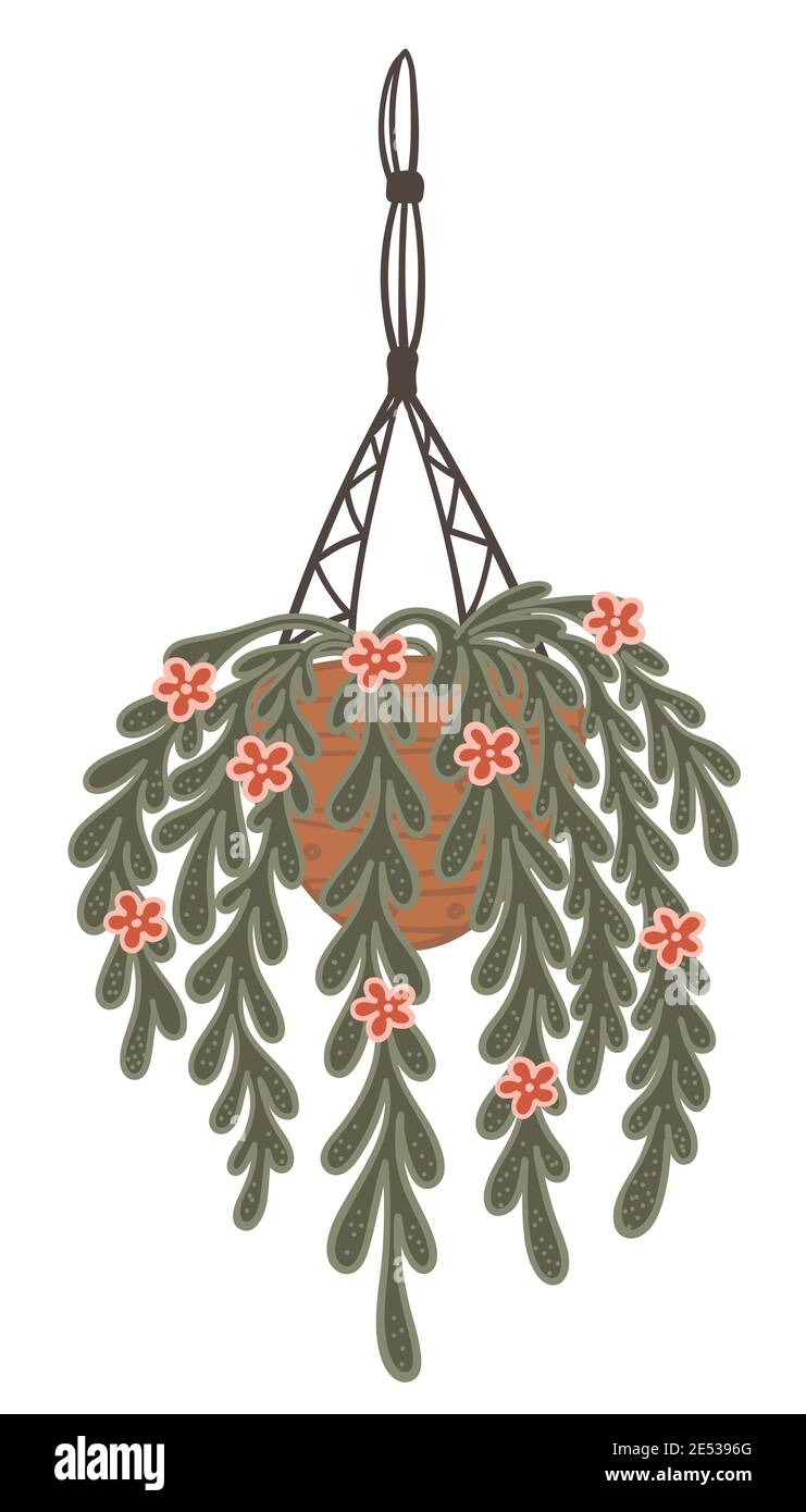 Hanging houseplant decoration Stock Vector Images