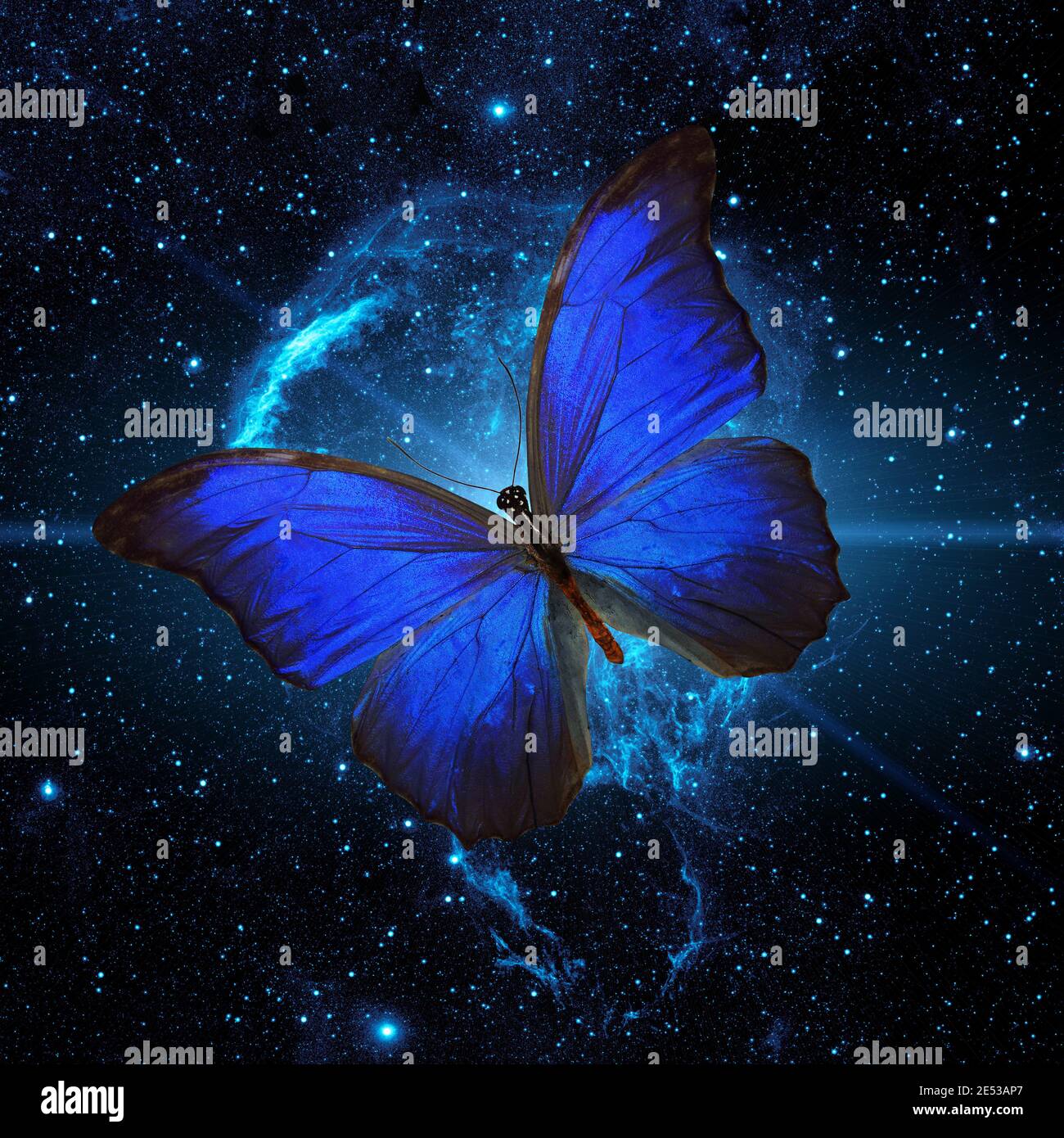 blue butterfly flying across the starry sky. Elements of this image