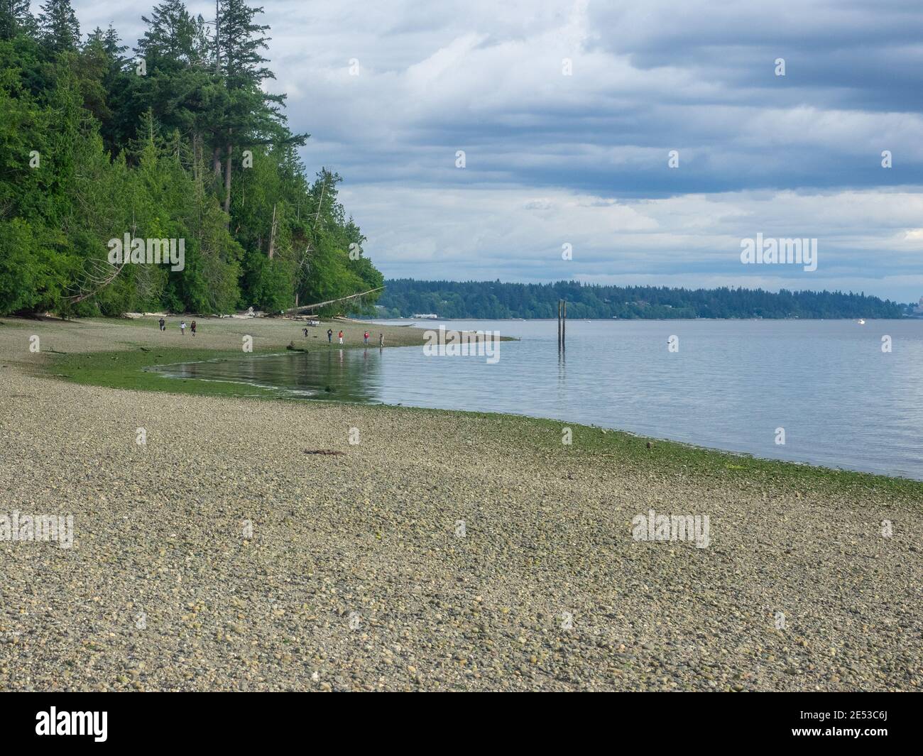 Burfoot Park is a public park located in Thurston County, Washington. Burfoot Park covers 50 acres of property with 1,100 feet of saltwater beach fron Stock Photo