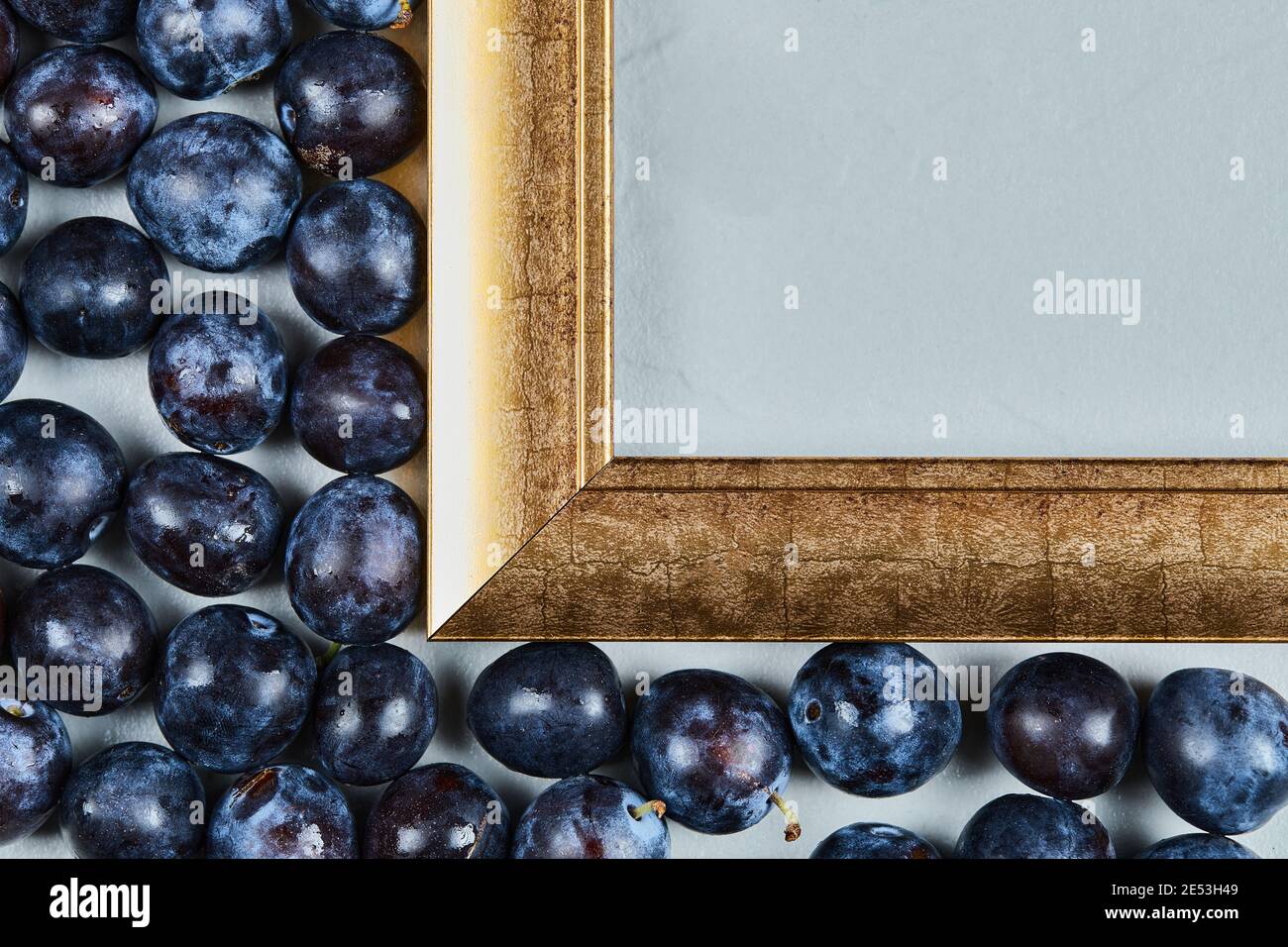 Garden plums around the picture frame Stock Photo