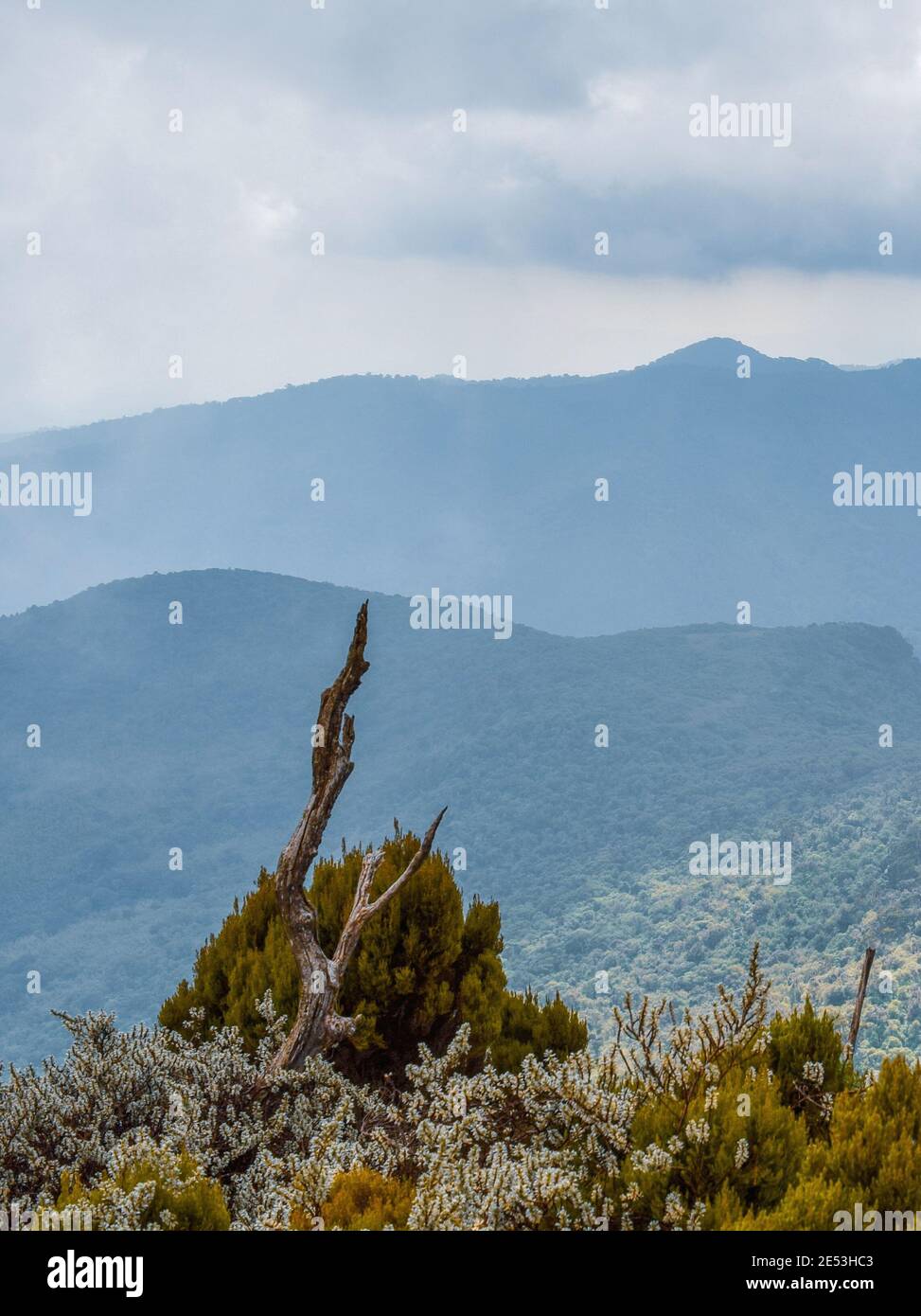 Scenic mountain landscapes in Aberdare Ranges, Kenya Stock Photo - Alamy