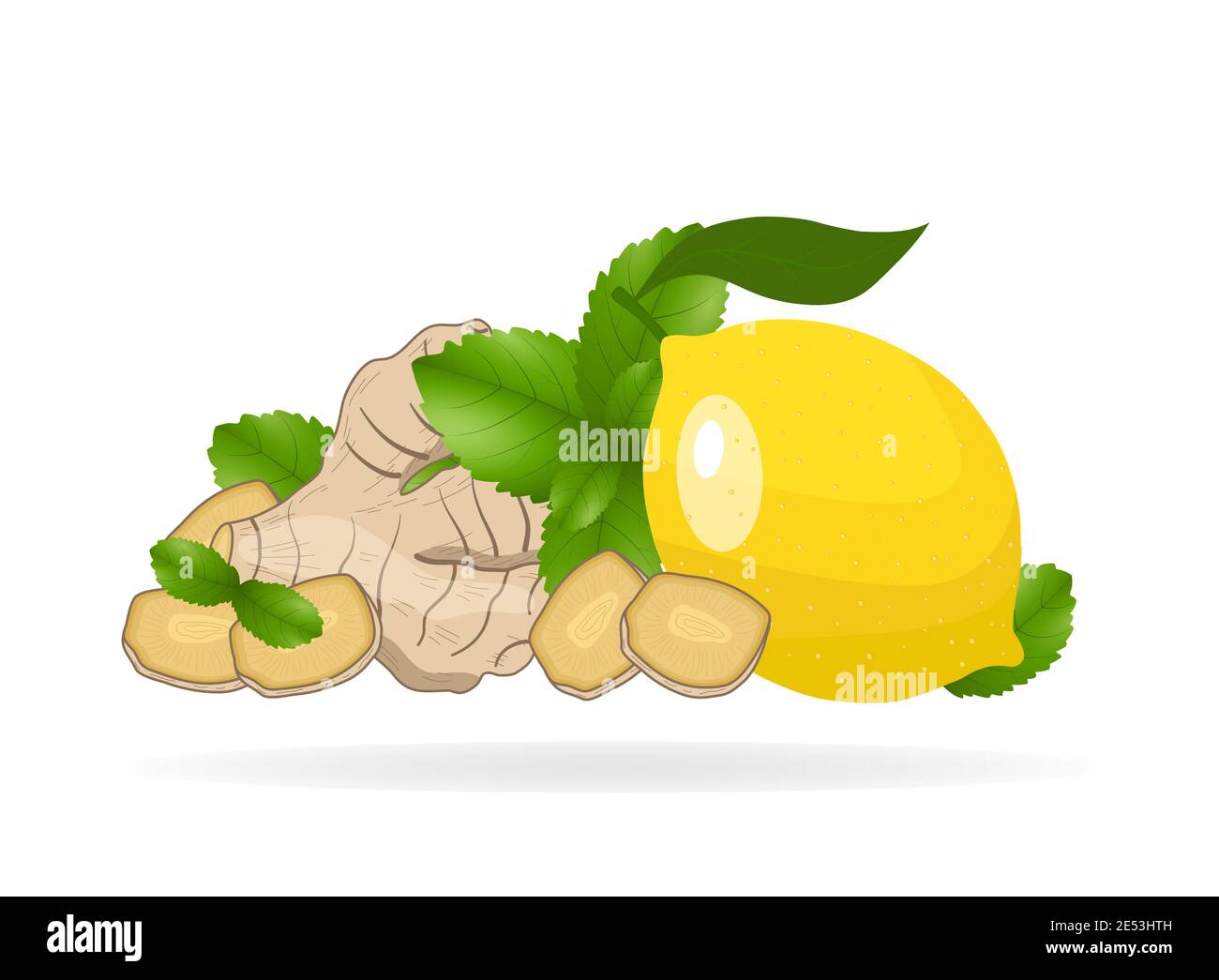 Ginger root slices, lemon, mint leaves on white background. Vector illustration of natural home remedies, flu treatment. Elements for menu, wrapping p Stock Vector