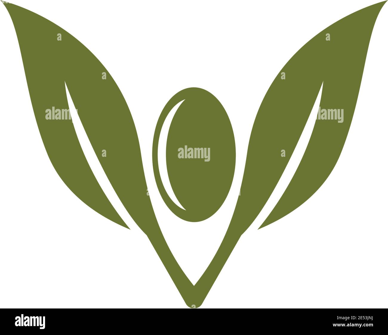 olive logo template vector design Stock Vector Image & Art - Alamy