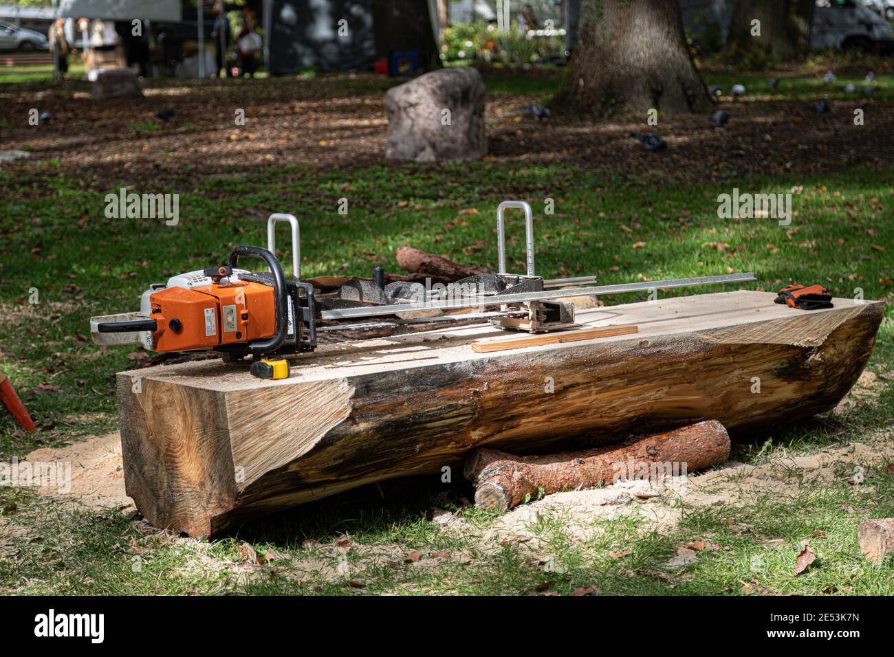 Tree Cutting Instrument Closeup shot of a machine for cutting the trunk of a tree Stock Photo ...
