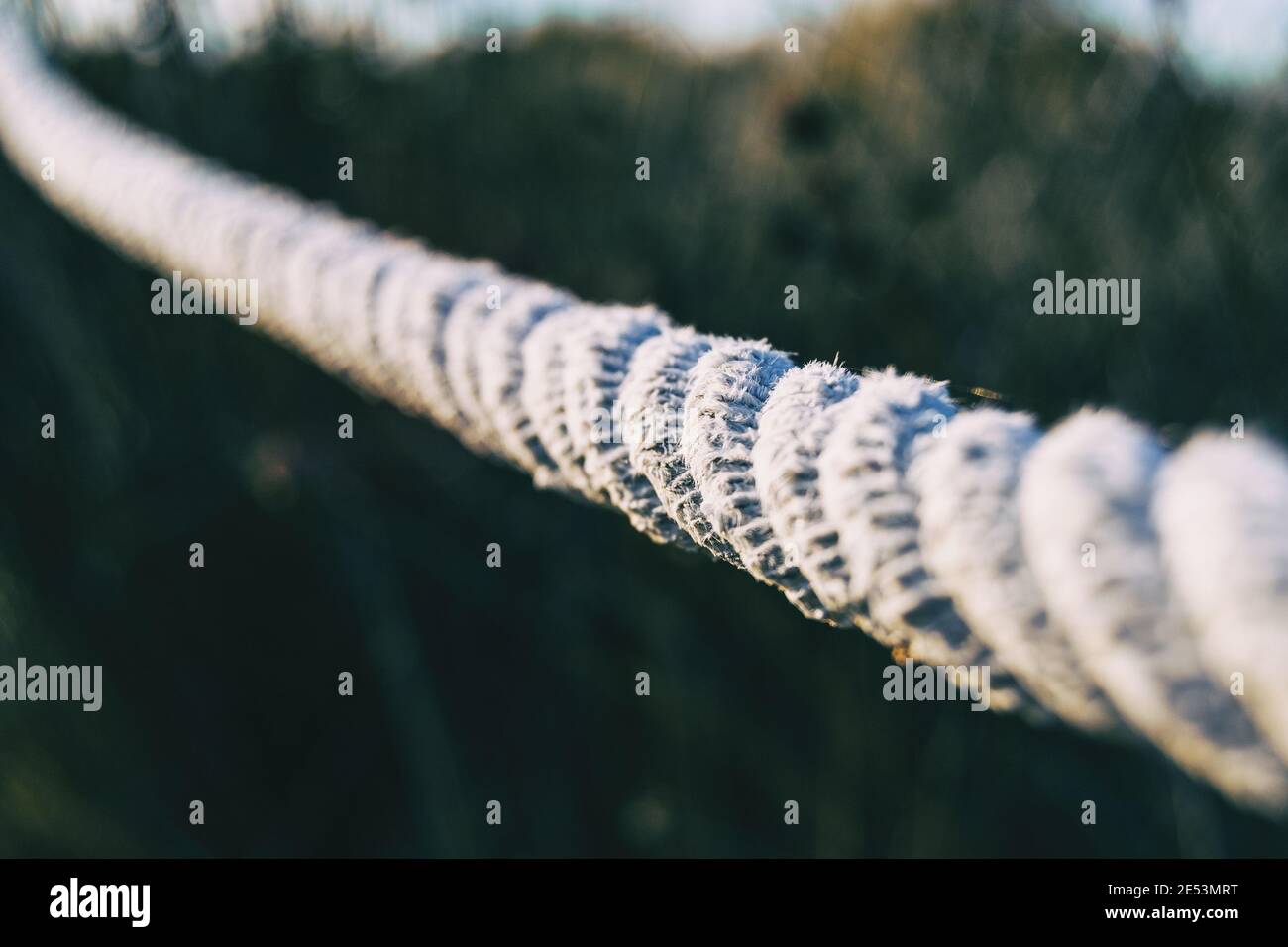 Abstract Composition, Texture Of Thick And Strong Hanging Rope Isolated On  Blurred Background, Stock Photo, Picture and Royalty Free Image. Image  146966231.