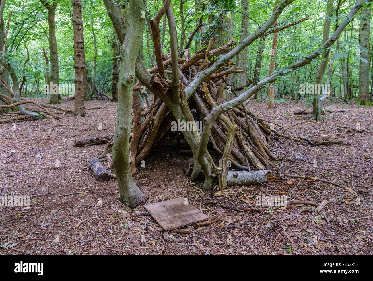 A stick den in Ruislip Woods, Nature reserve in England & Site of Special Scientific Interest. London Borough of Hillingdon. Stock Photo