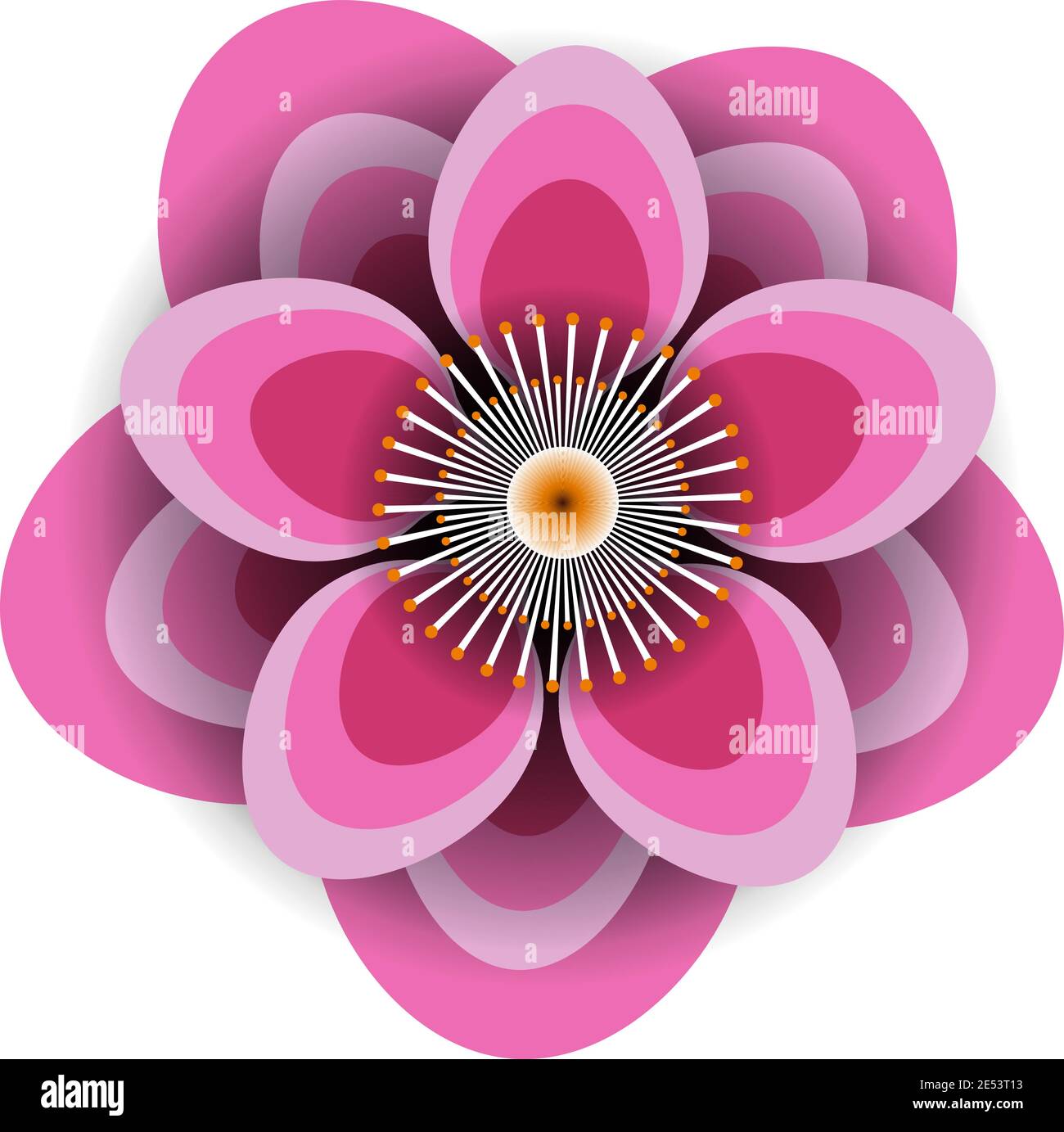Peach flowers vector illustration isolated on white Stock Vector Image