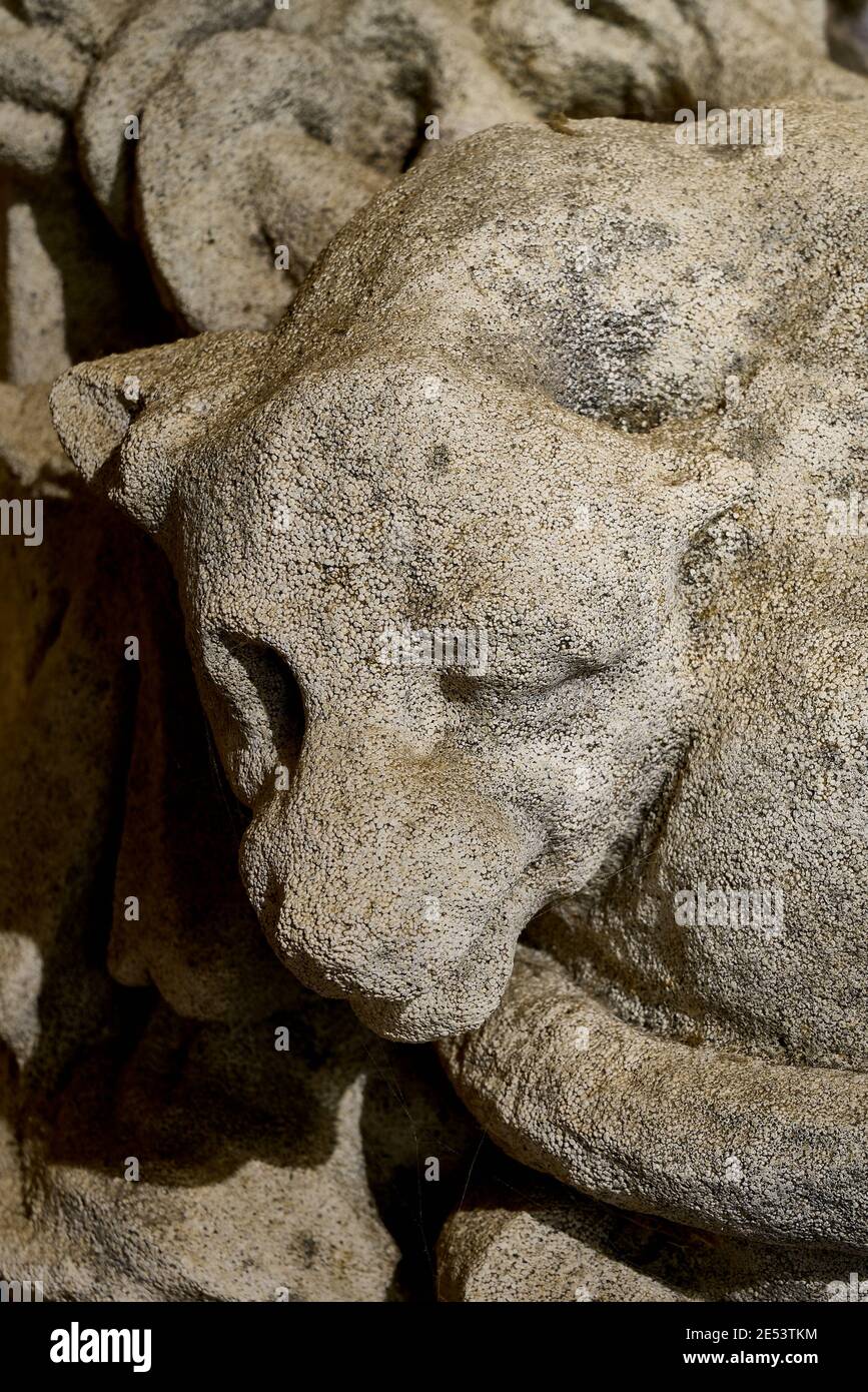 Carved limestone grotesque or gargoyle featuring a beast climbing entwined by tail Stock Photo