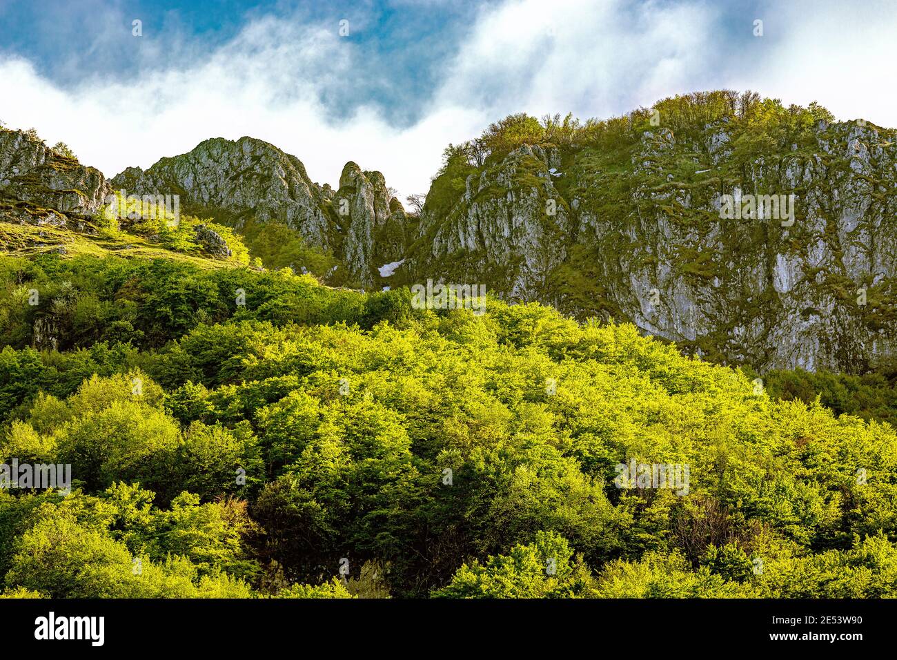 Beech woods, steep walls and high altitude meadows. Maiella National Park, Abruzzo, Italy, Europe Stock Photo