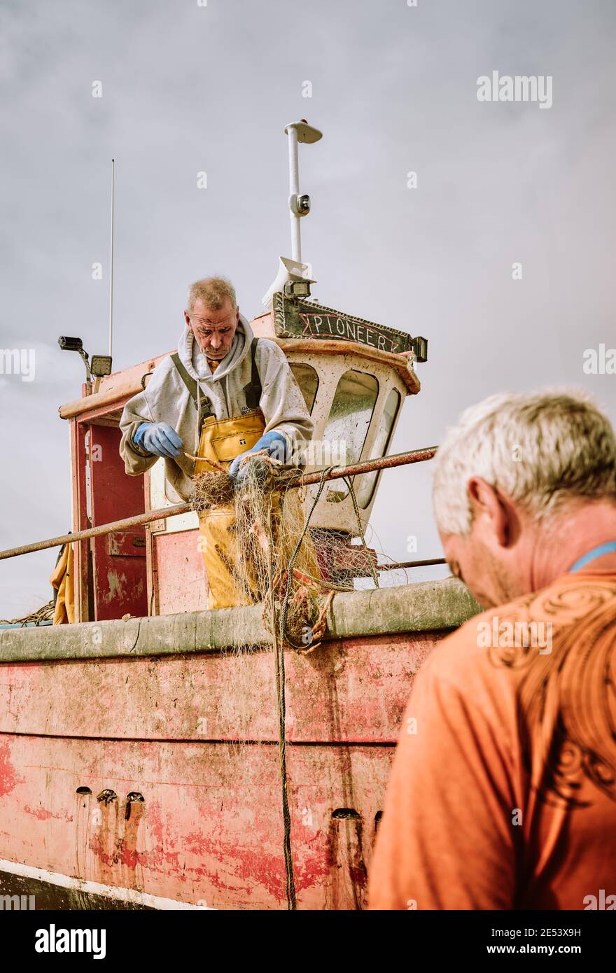 Fishermen landing their catch of Spider Crabs on The Stade in Hastings Old Town, East Sussex England UK - Crab Fishermen UK Stock Photo