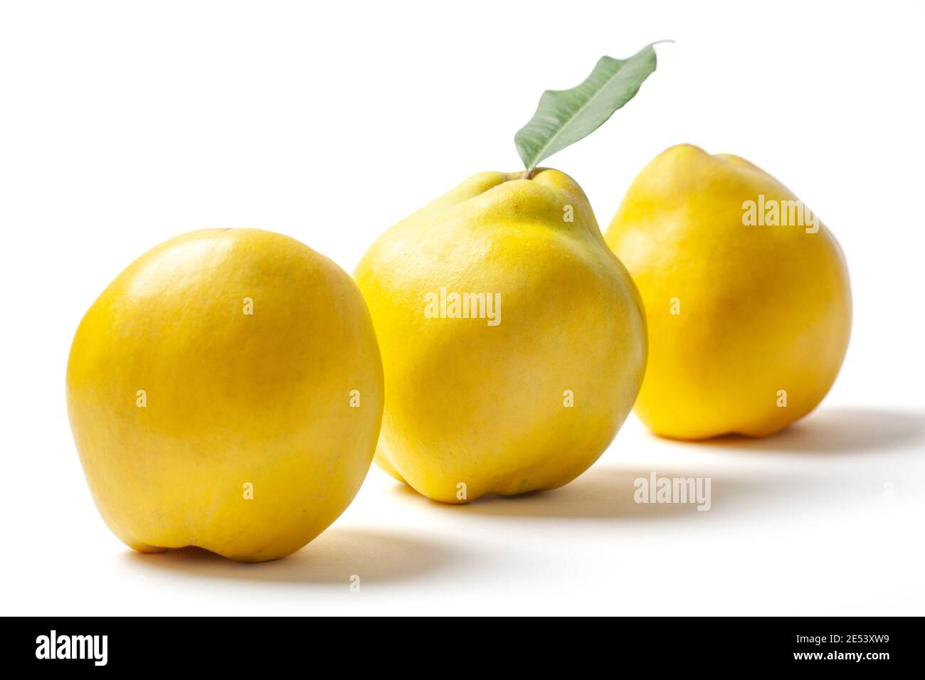Three ripe yellow quinces isolated on white background. Stock Photo