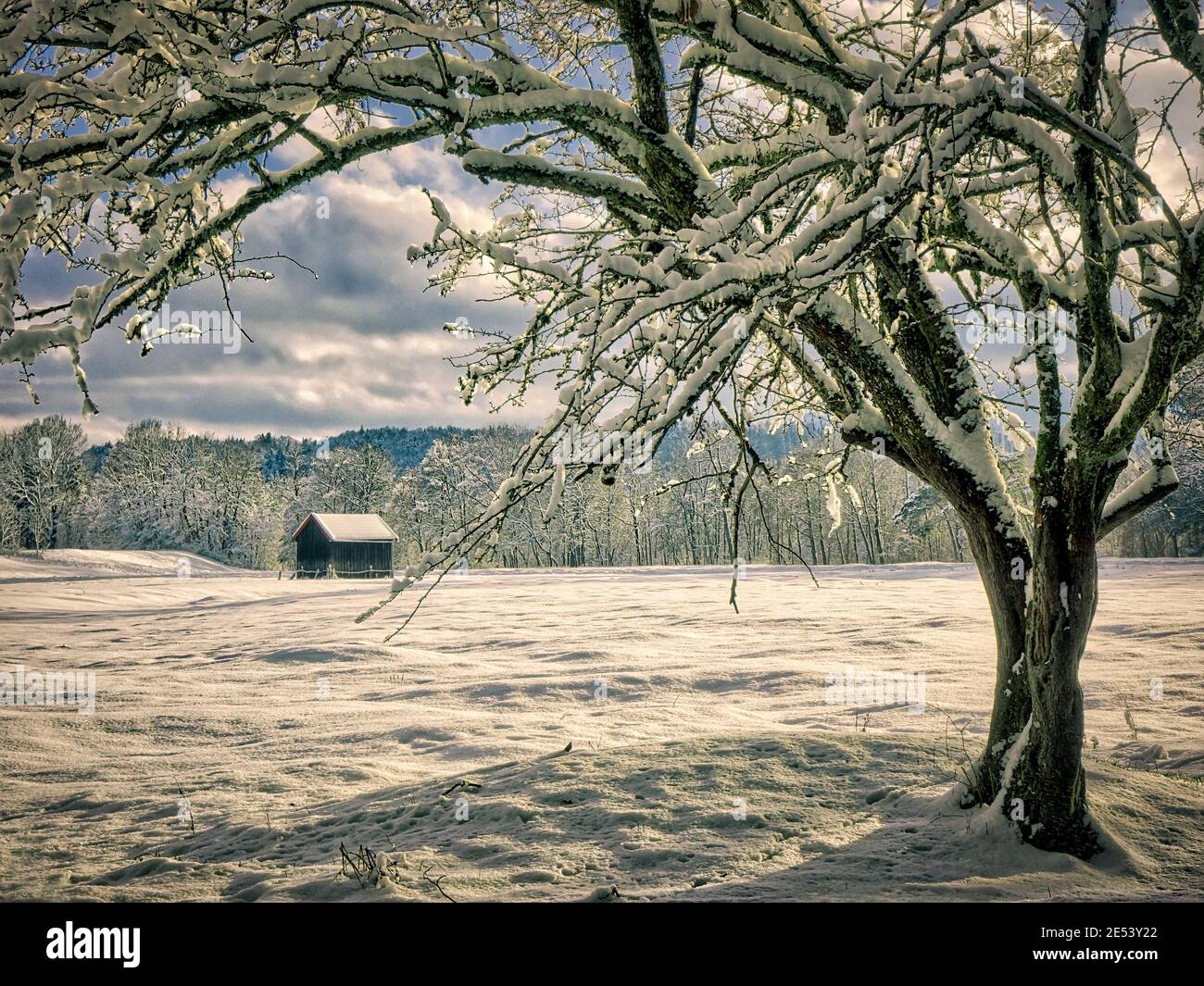 DE - BAVARIA: Winter scene at Moralt Alm near Bad Toelz Stock Photo