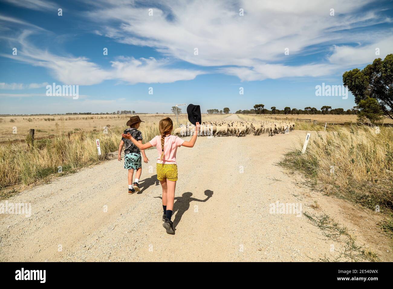 Closeup shot of children walking on the path with sheep blocking the ...