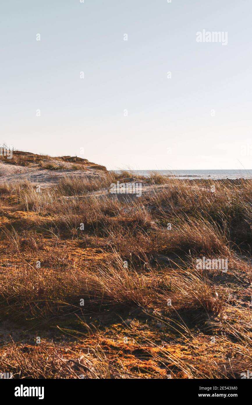 Vertical shot grass landscape hi-res stock photography and images - Alamy