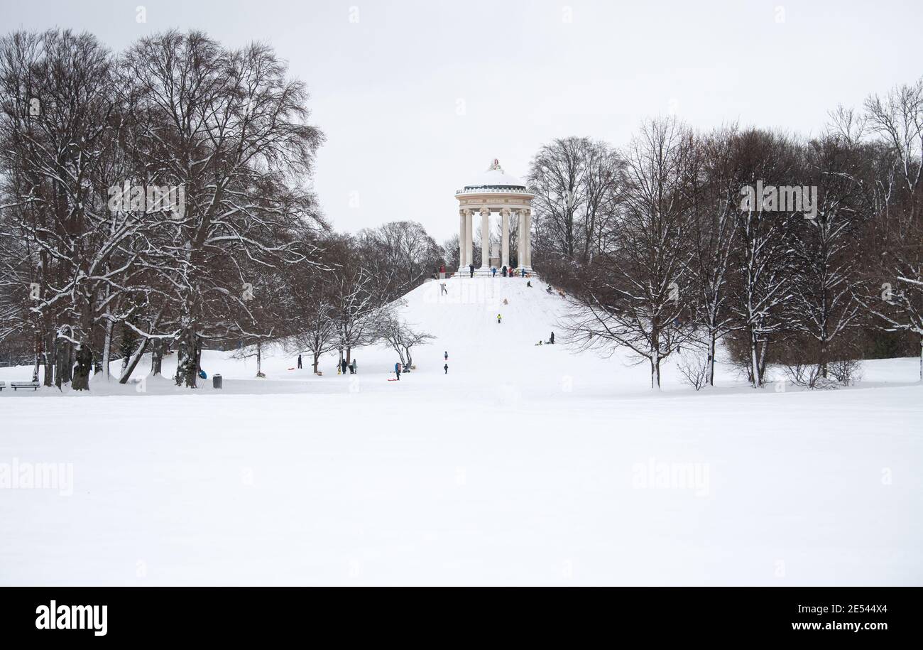 Munich, Germany. 26th Jan, 2021. Children and adults toboggan on the hill  of the Monopteros in the English Garden. Credit: Sven Hoppe/dpa/Alamy Live  News Stock Photo - Alamy