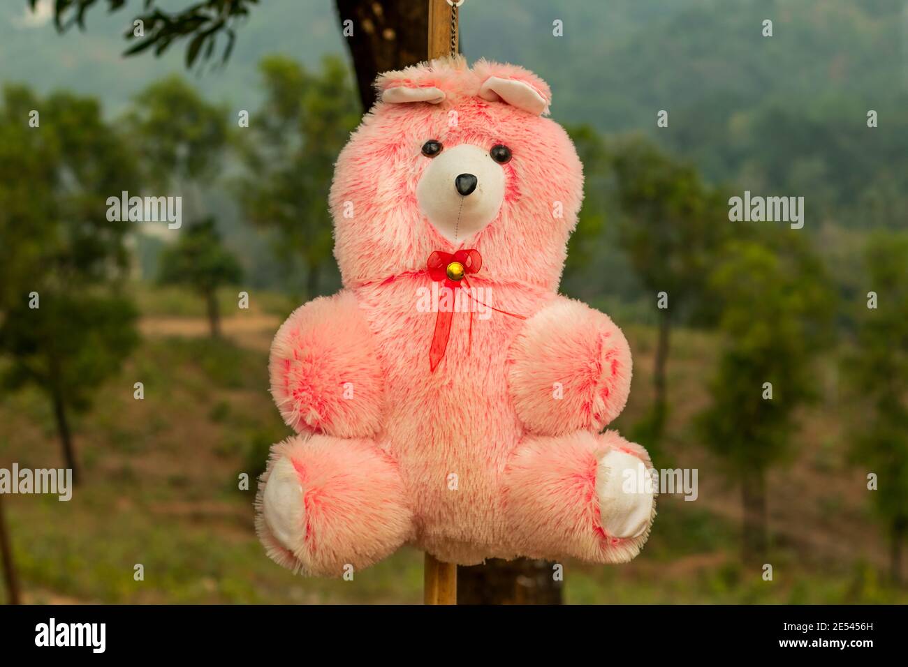 This soft teddy bears make great gifts for kids and adults Stock Photo