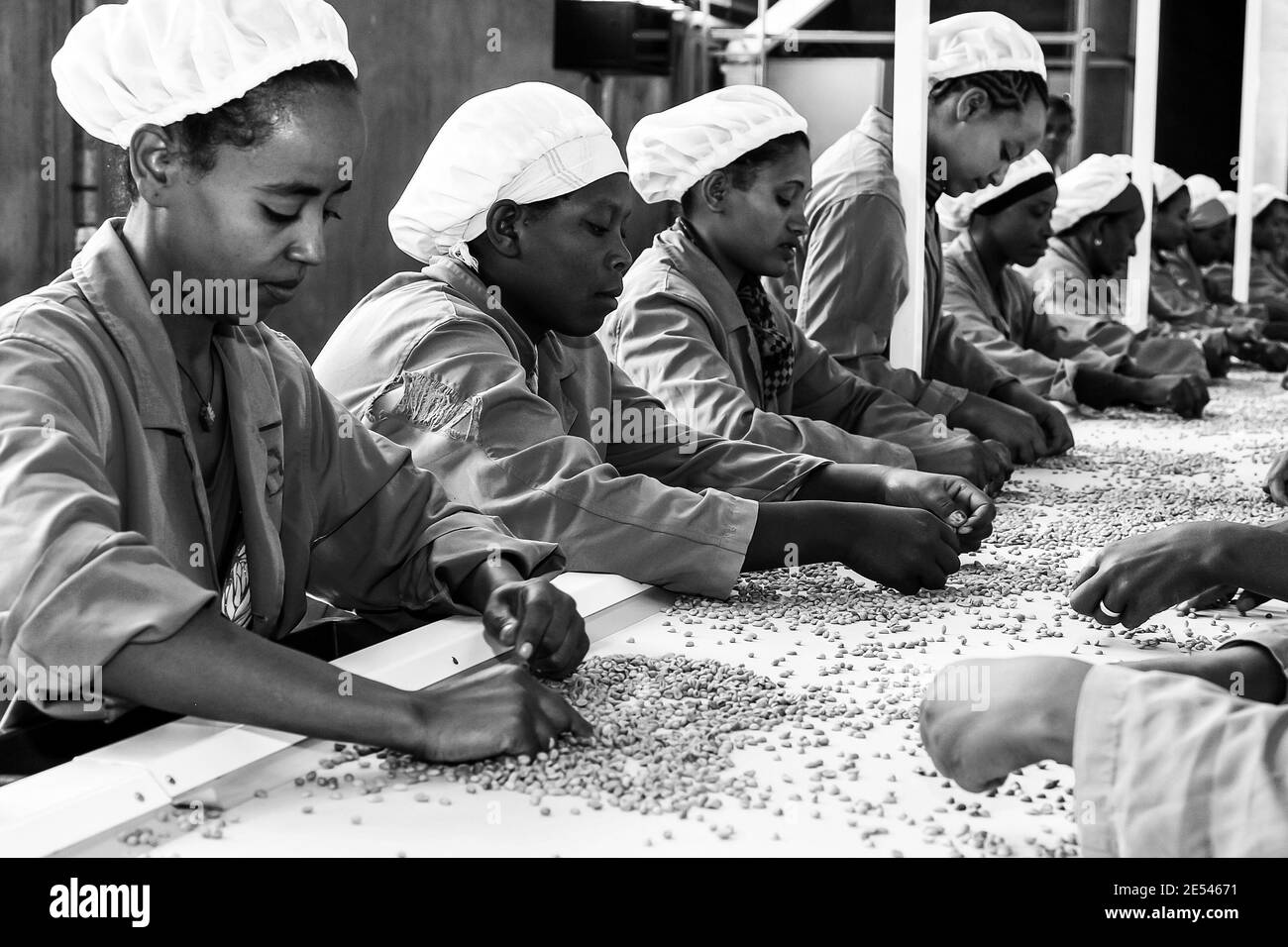 Coffee processing machine Black and White Stock Photos & Images Alamy
