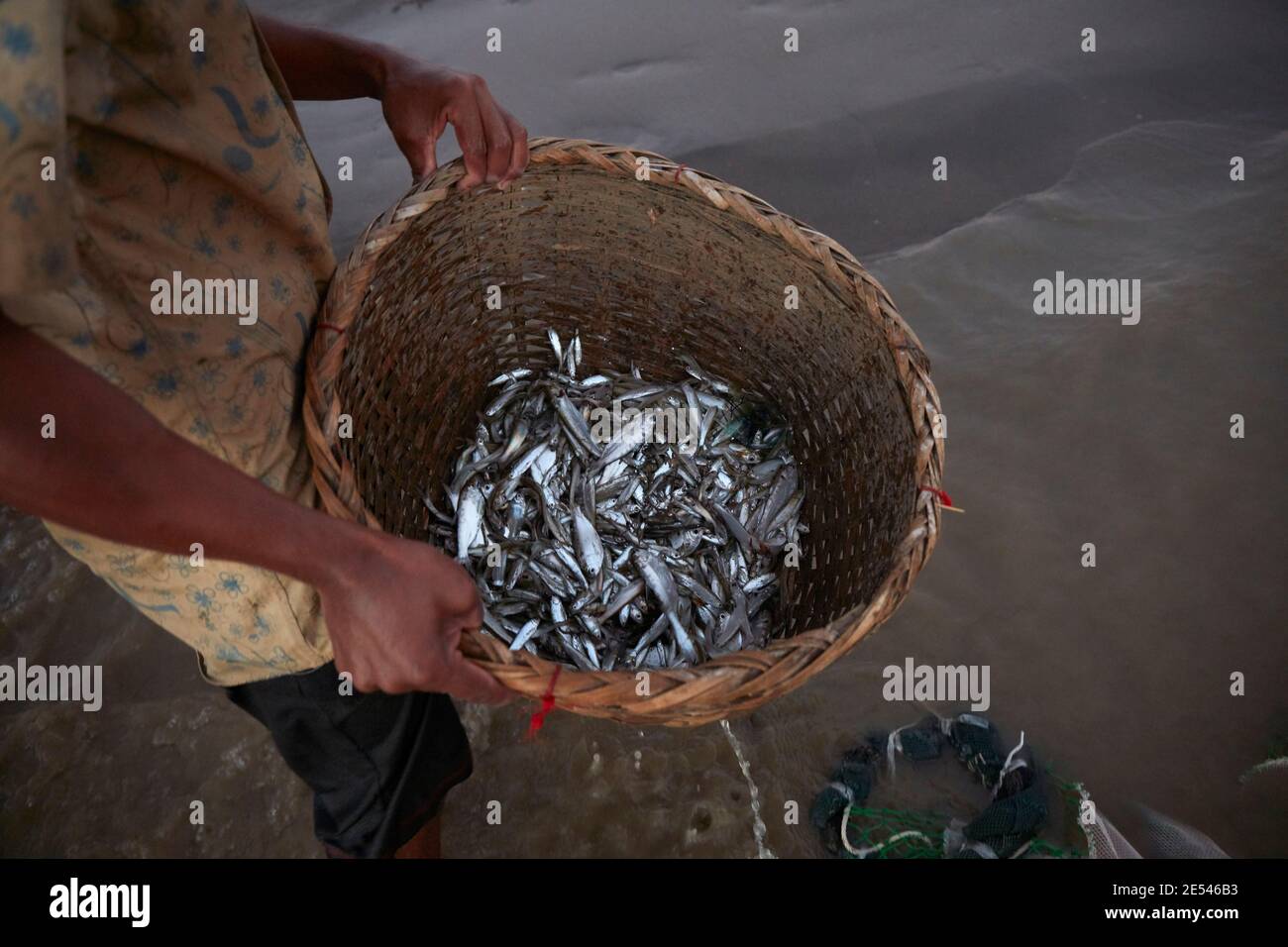 An Irrawaddy River fisherman shows the catch of the day, Bagan, Myanmar. Stock Photo