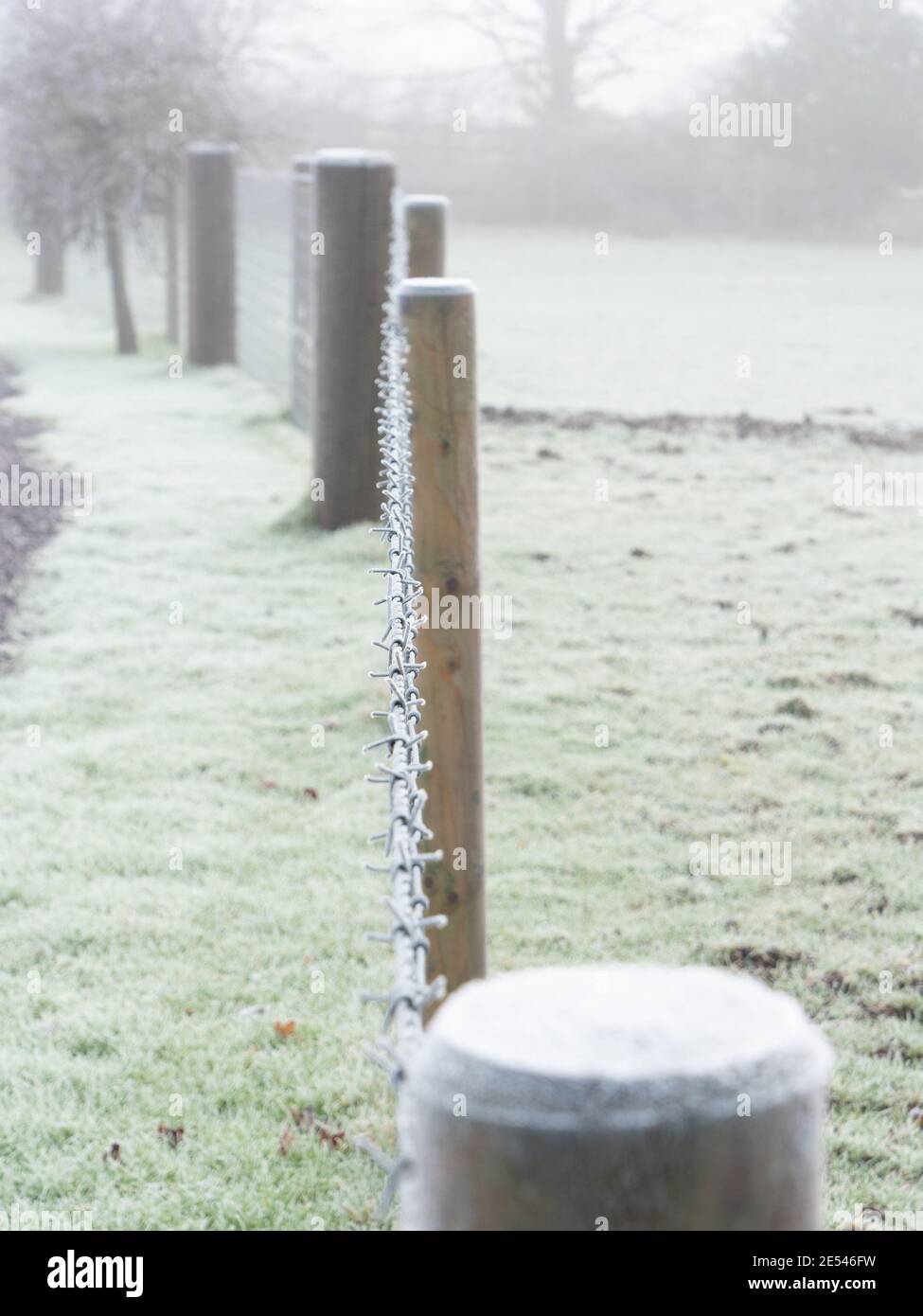 Frosted Chain A line of frosted posts linked by a frosted chain with a gate into the ...