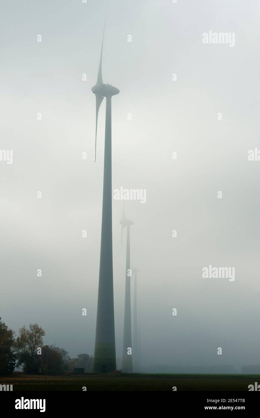 gaenserndorf, austria, 01 nov 2011, enercon wind turbines in the fog Stock Photo