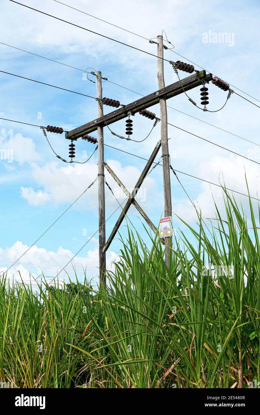 Low-angle detail abstract view of electric power line posts placed in a sugar cane field against the blue sky, Philippines, Asia Stock Photo