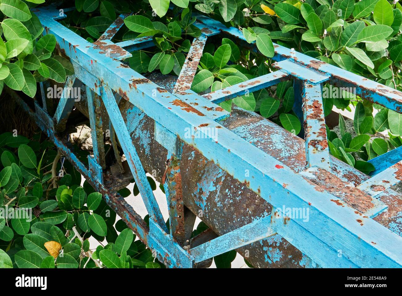 Rusty, colorful painted steel pipeline used in waste water management surrounded by green plants Stock Photo