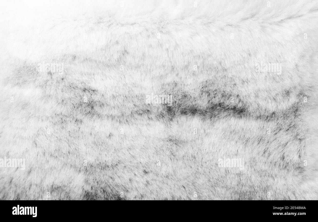 Lamb wool macro texture Black and White Stock Photos & Images - Alamy