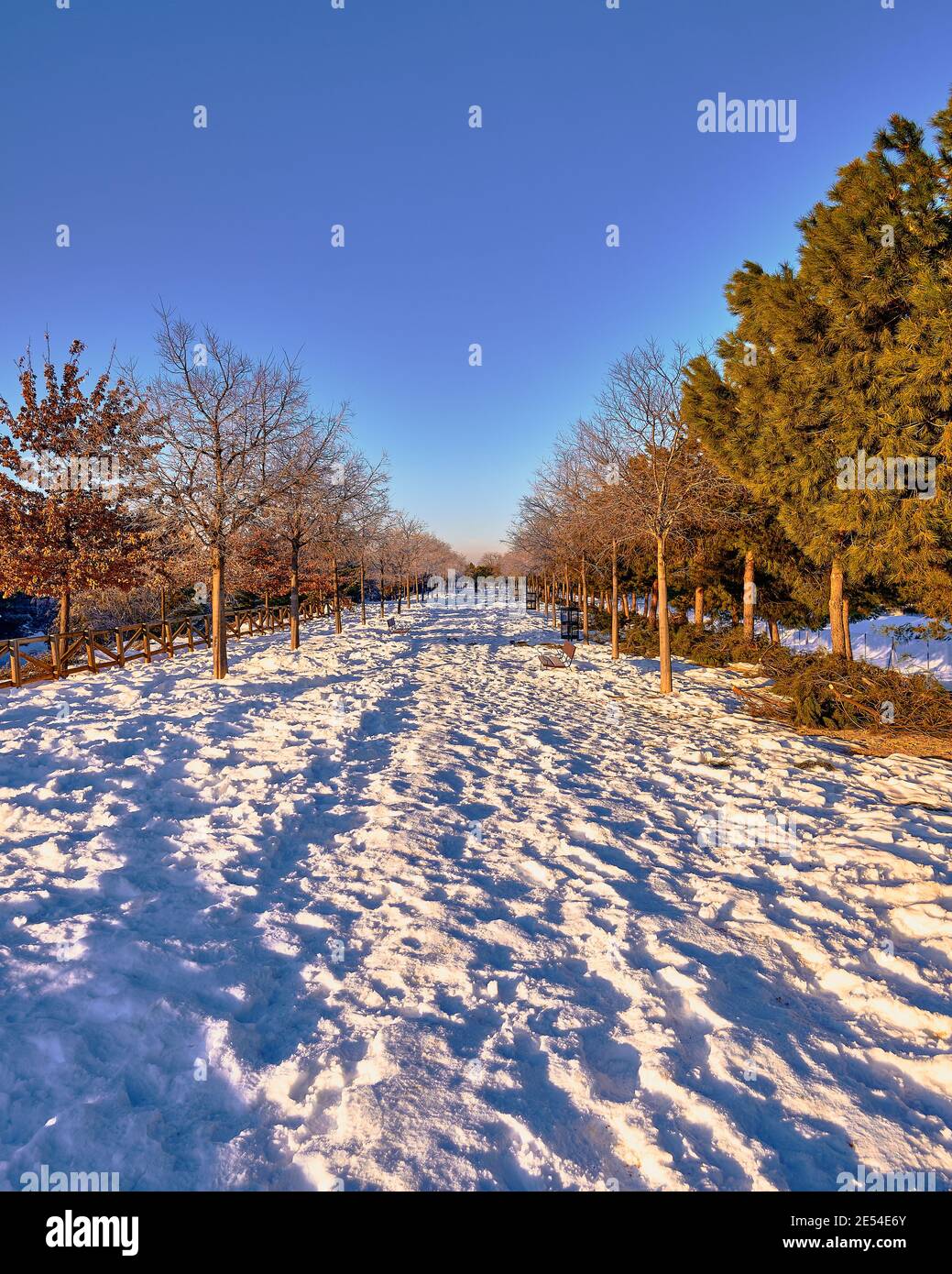 Park path covered in snow during sunrise Stock Photo