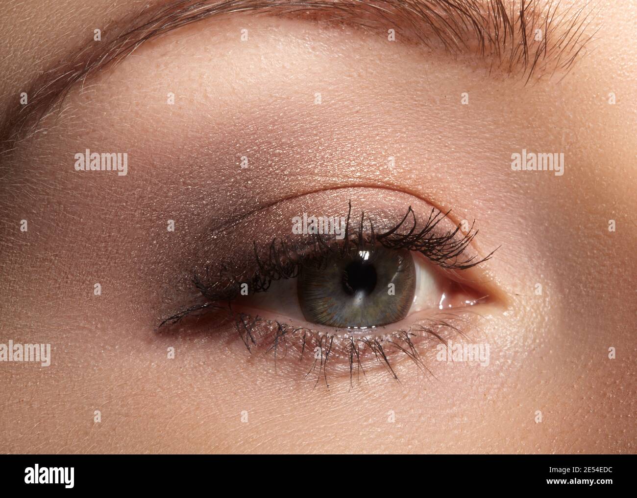 Close-up macro of beautiful female eye with perfect shape eyebrows. Clean  skin, fashion naturel make-up. Good vision Stock Photo - Alamy