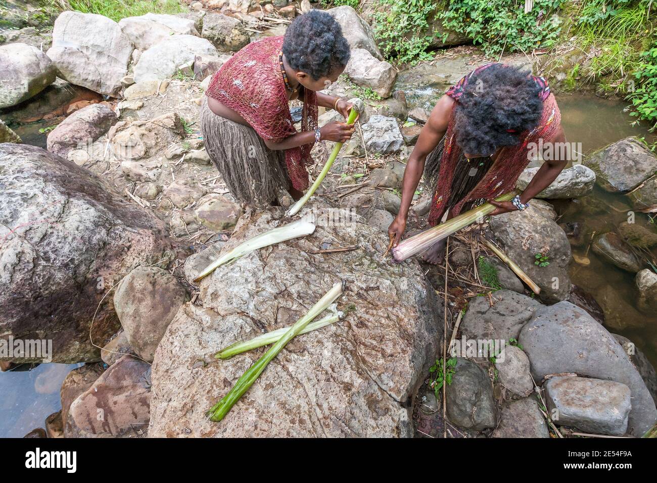 Wamena, Indonesia - January 10, 2010: Dani women extracting salt using stalks of plants in the Baliem Valley, Papua Stock Photo
