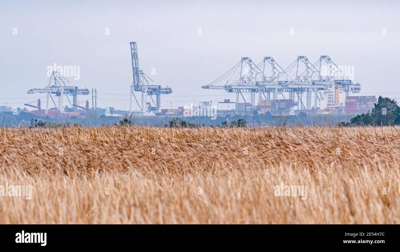 The deep water port of Savannah is viewed from a distance across the wetlands of the Savannah National Wildlife Refuge in Georgia, USA. Stock Photo