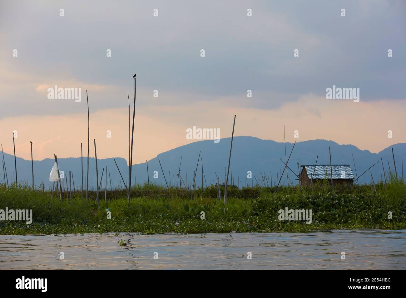 View of the Inle Lake landscape at sunset, Myanmar. Stock Photo