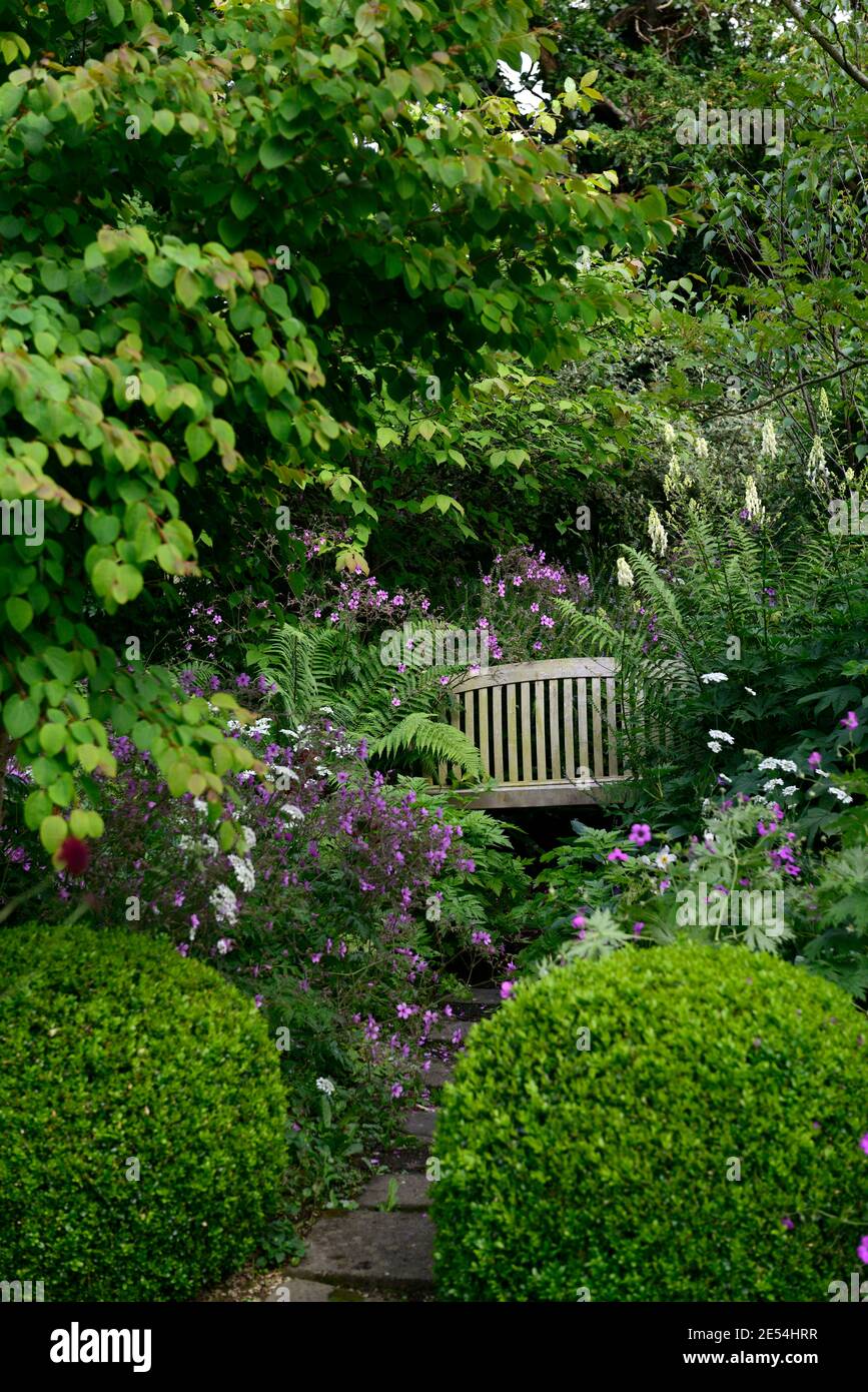 garden-seat-seating-protected-hidden-secluded-mystery-spot-space-garden
