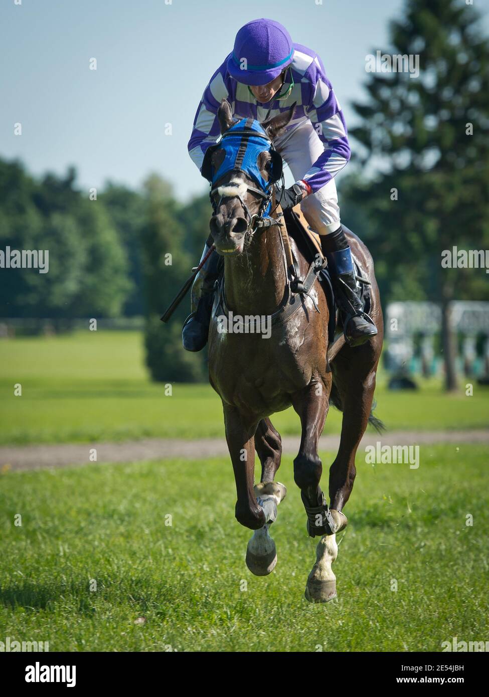 Jockey on the horse during horserace. Stock Photo