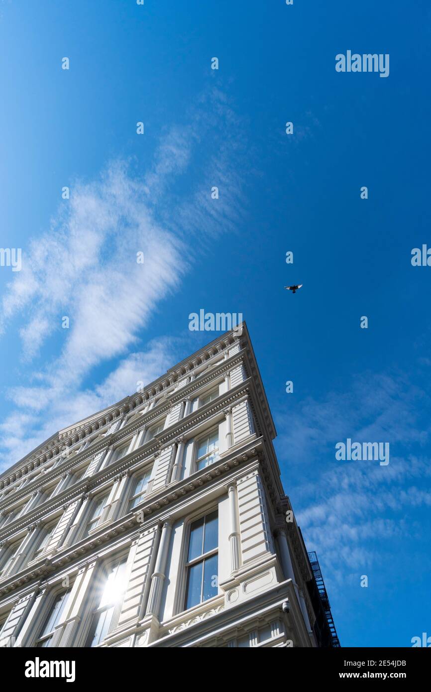 One pigeon flies in the blue sky over the Loft apartment in NOHO NYC. Stock Photo