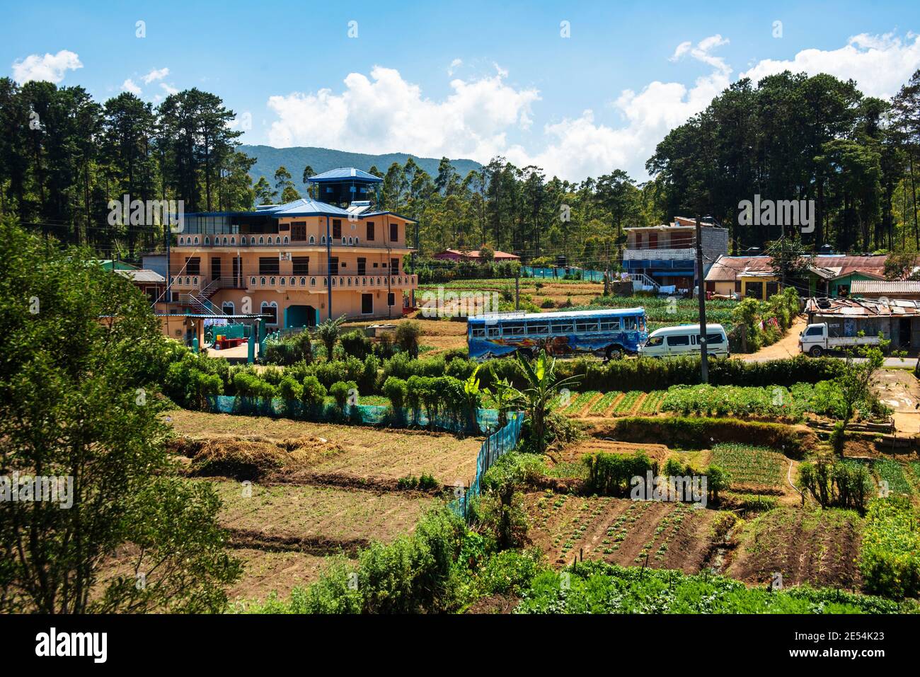 Traffic in a Rural town in Sri Lanka. Agricultural fields in the ...
