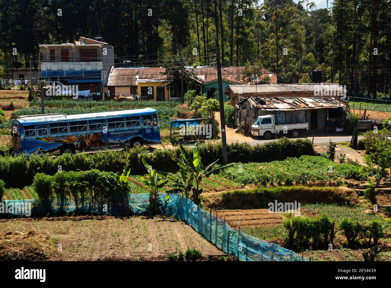 Traffic in a Rural town in Sri Lanka. Agricultural fields in the ...