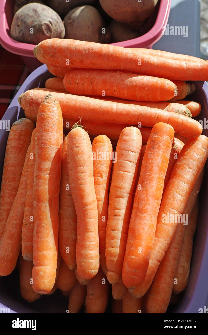 Organic carrots on a farmer market Stock Photo Alamy