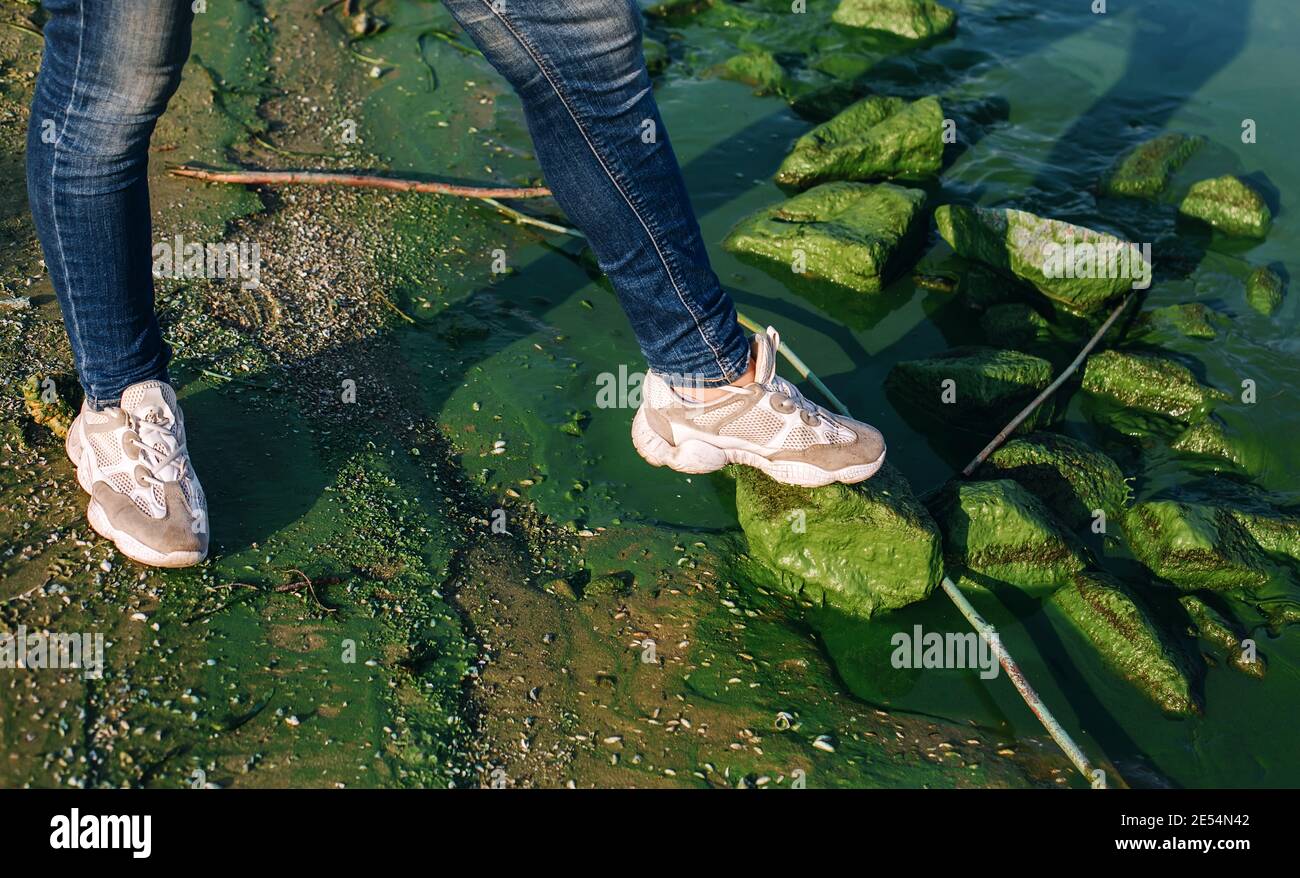 Girl in white sneakers stand by feet on green rocks of green river with algae blooms in sun light, harmful water plants and damaged environment Stock Photo