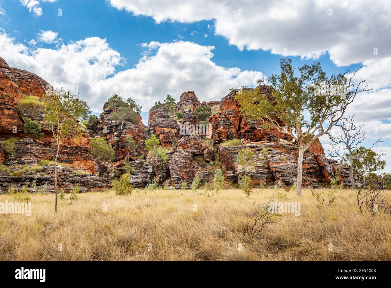 Bungle Bungles, Purnululu National Park, Kimberley Region, Western Australia, Australia Stock Photo