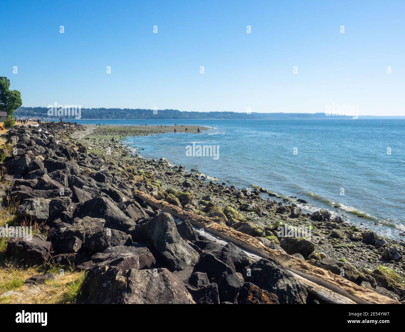 Saltwater State Park is a plot of second-growth timber on Puget Sound in the city of Des Moines, Washington, United States. The main attraction is sal Stock Photo